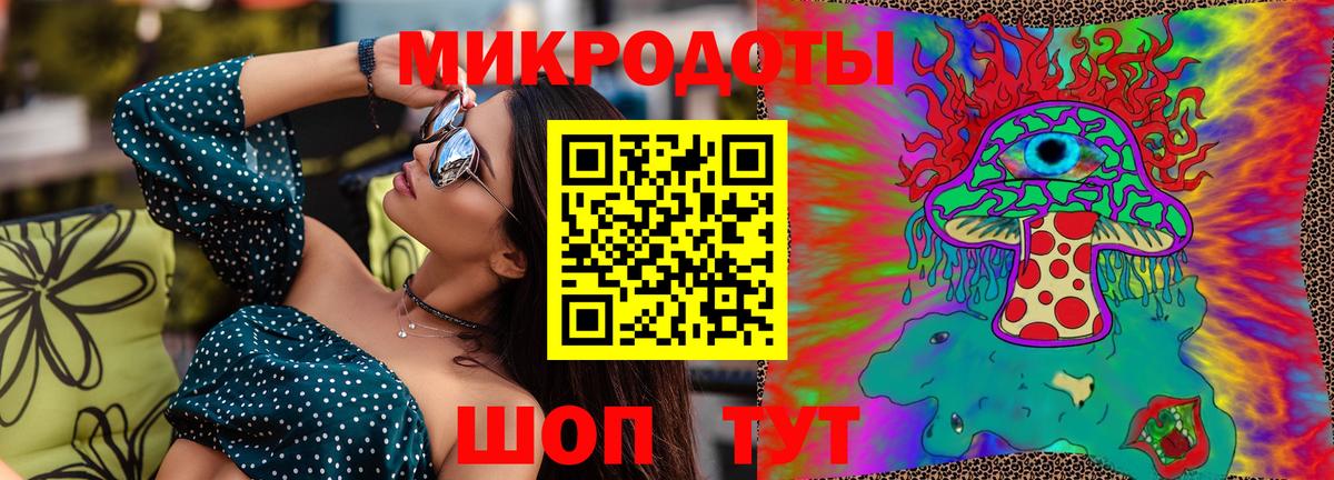 Псилоцибиновые грибы Psilocybine cubensis Мурманск